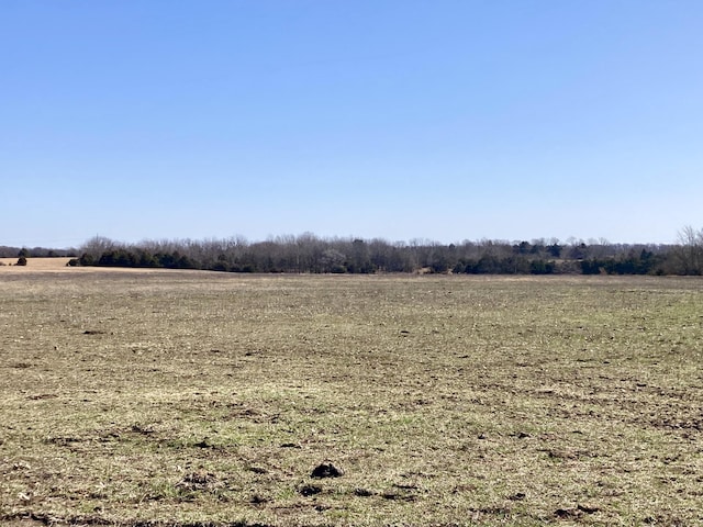 view of local wilderness with a rural view