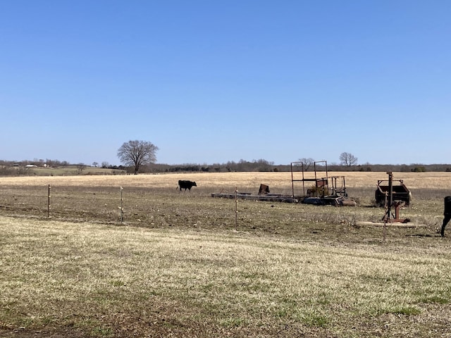 view of yard with a rural view
