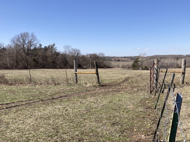 view of yard featuring a rural view