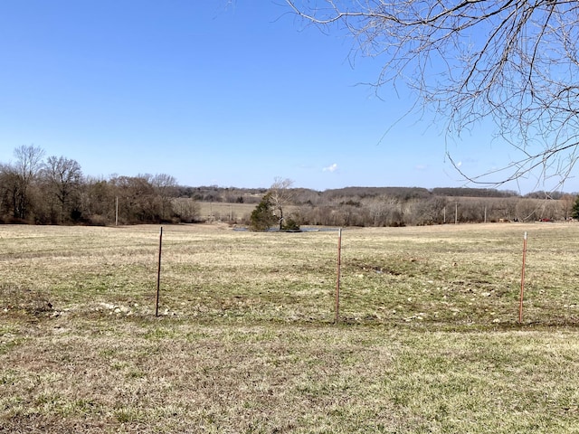 view of yard with a rural view