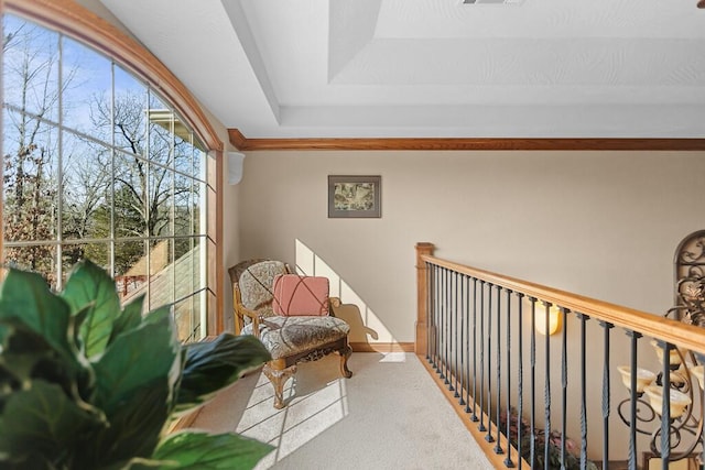 interior space with carpet and visible vents