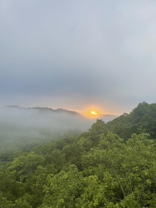 mountain view featuring a wooded view