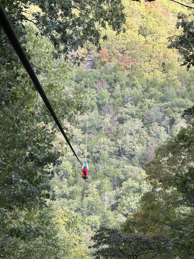 bird's eye view featuring a forest view