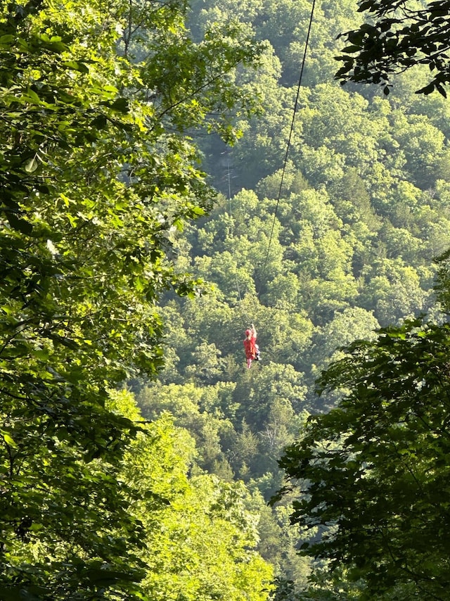 view of landscape with a view of trees