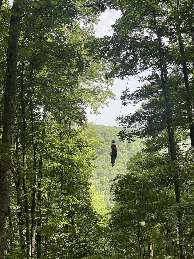 view of nature with a forest view