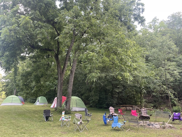 view of yard with a wooded view