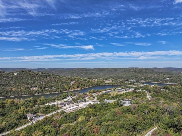 drone / aerial view with a water view and a view of trees