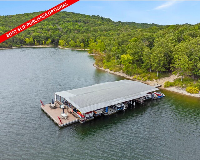 drone / aerial view featuring a water view and a view of trees