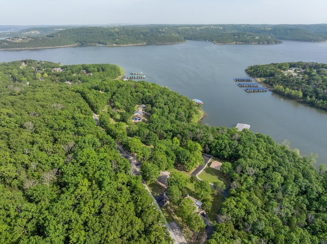 466 Buck Run Dr, Branson West, MO 65737 - aerial view of property's location with a nearby body of water and a forest
