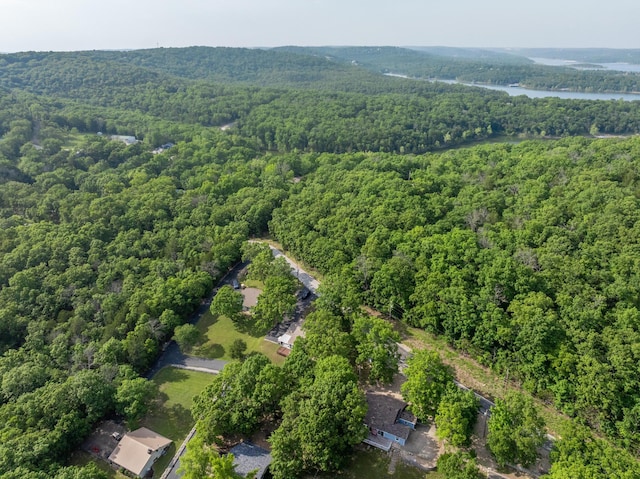 466 Buck Run Dr, Branson West, MO 65737 - aerial view of property's location featuring a heavily wooded area and a large body of water