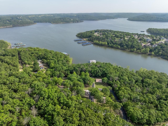 466 Buck Run Dr, Branson West, MO 65737 - drone / aerial view of a large body of water and a forest