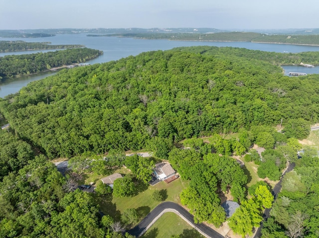 466 Buck Run Dr, Branson West, MO 65737 - aerial view of property's location with a forest and a large body of water
