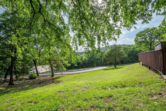 466 Buck Run Dr, Branson West, MO 65737 - view of green lawn