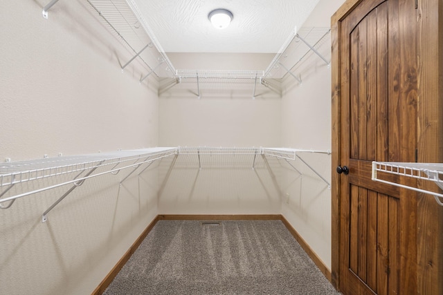 spacious closet featuring carpet