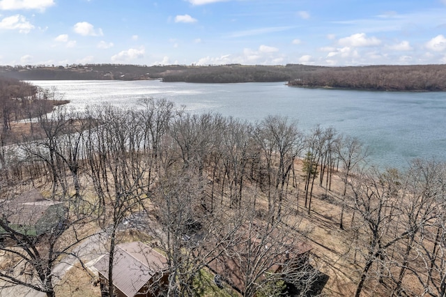 view of water feature