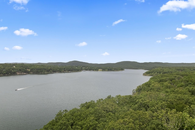 24311 Raintree Ln, Shell Knob, MO 65747 - water view with a forest