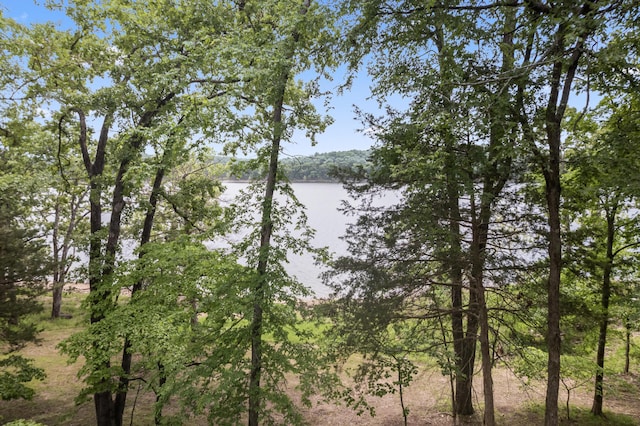 24311 Raintree Ln, Shell Knob, MO 65747 - water view