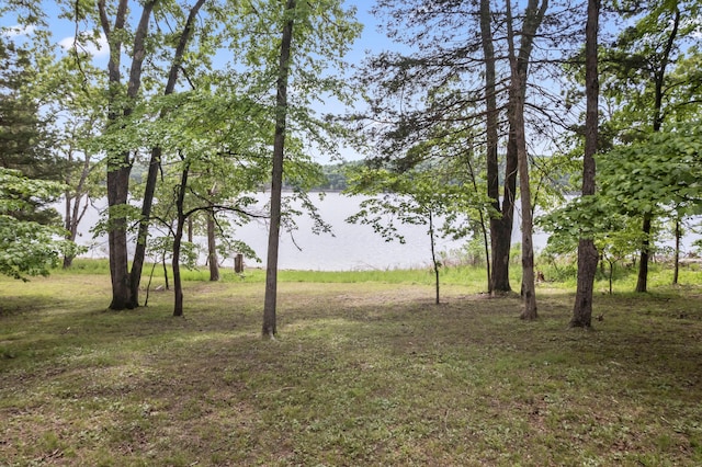 24311 Raintree Ln, Shell Knob, MO 65747 - water view