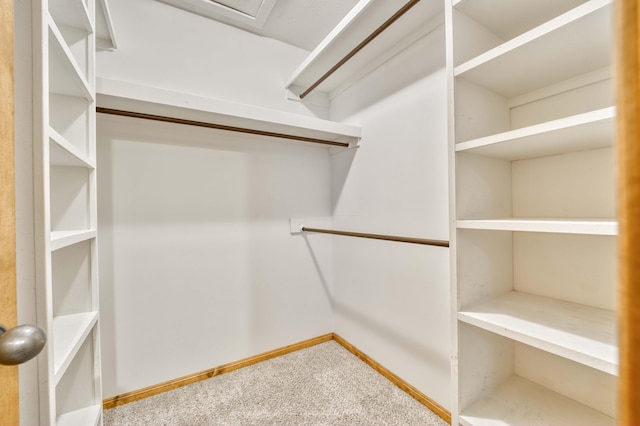 spacious closet with carpet