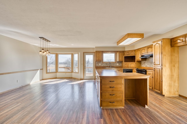 kitchen with backsplash, a sink, wood finished floors, butcher block countertops, and under cabinet range hood