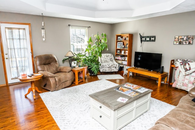 living room featuring a tray ceiling and wood finished floors