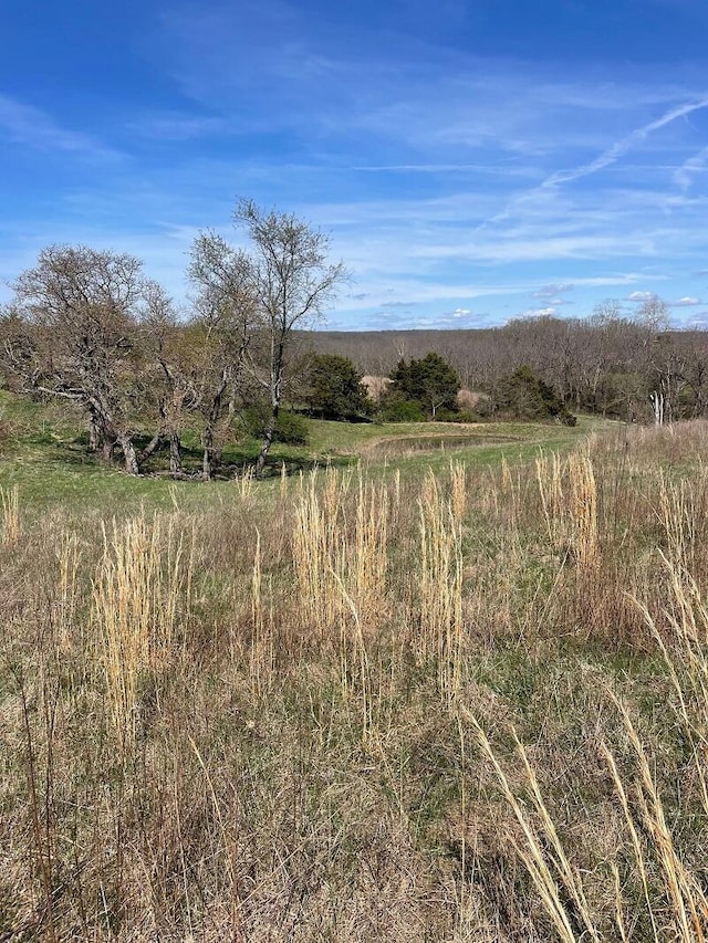 5620 Silver Lake Rd, Clever, MO 65631