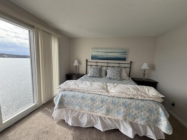 carpeted bedroom with a textured ceiling