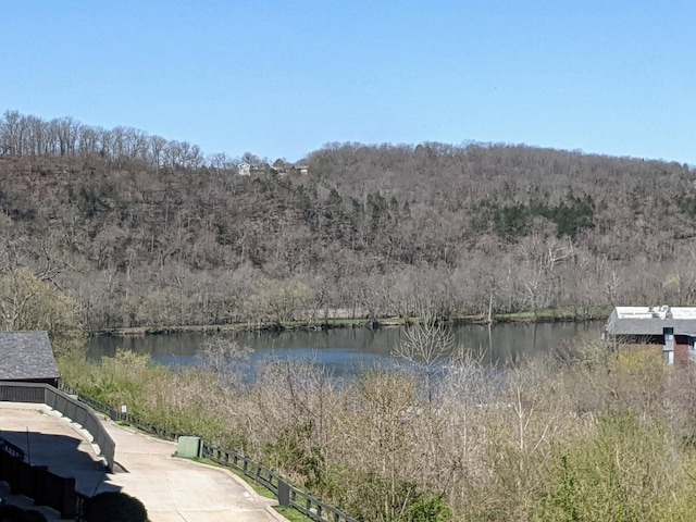 view of water feature with a forest view