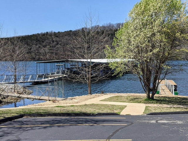 dock area featuring a water view