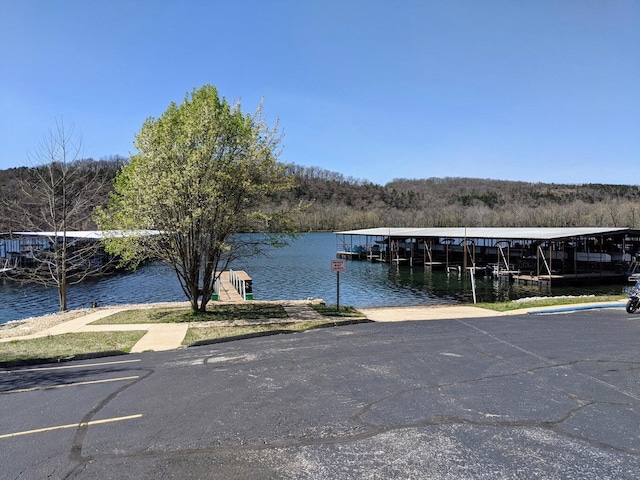 view of dock featuring a view of trees and a water view