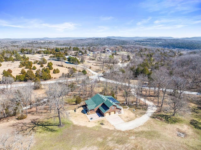 birds eye view of property featuring a mountain view