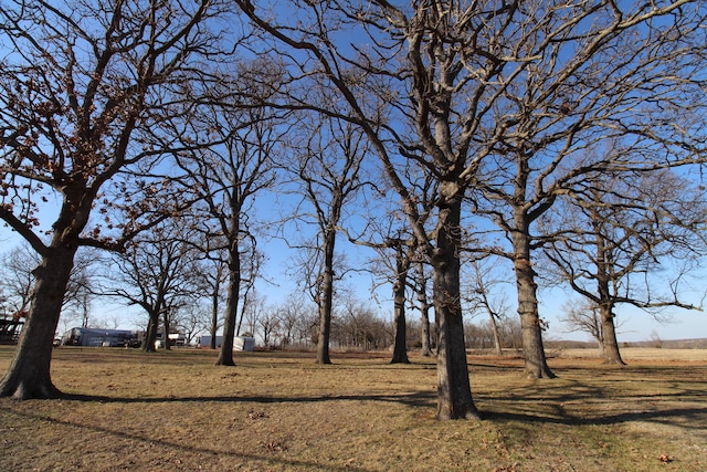 view of landscape