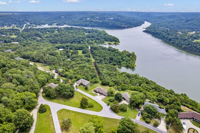 birds eye view of property with a forest view and a water view