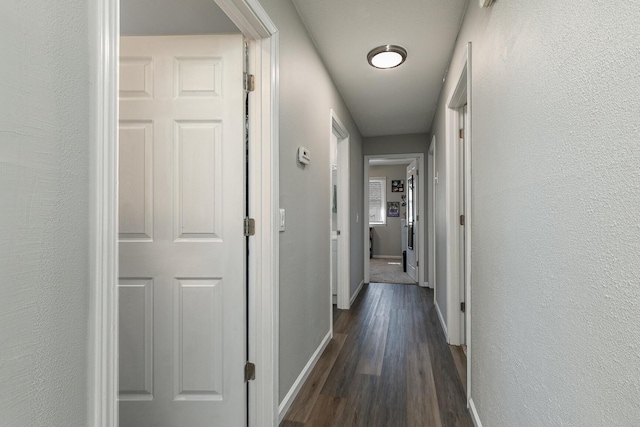 hallway featuring baseboards, dark wood-type flooring, and a textured wall