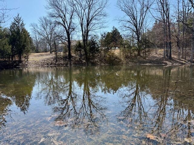 view of water feature