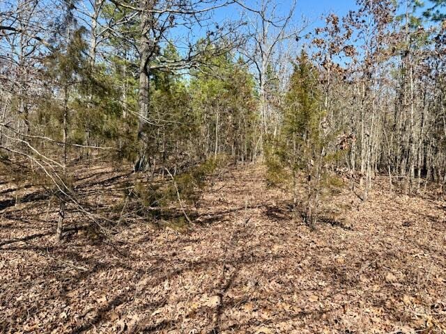 view of nature with a wooded view