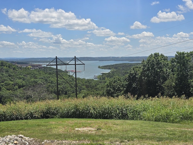 214 Grand Pointe Lot 5, Branson, MO 65616 - water view