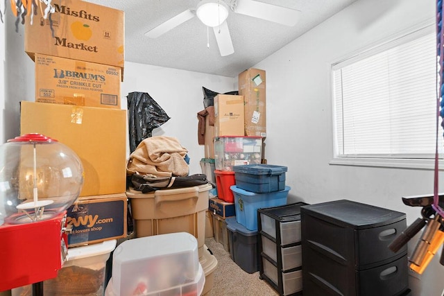 storage area with ceiling fan