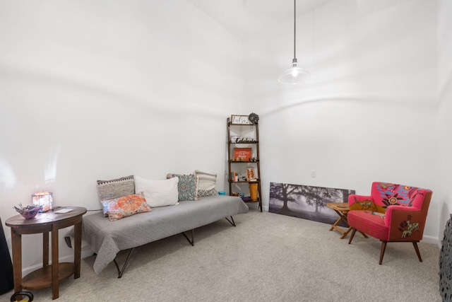 sitting room featuring carpet