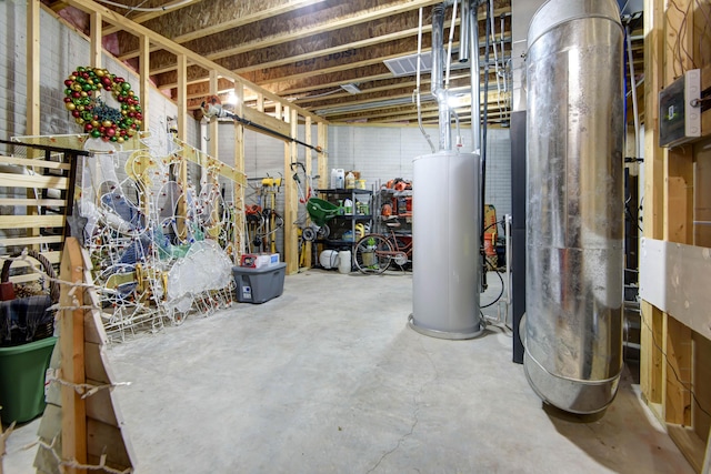 unfinished below grade area featuring gas water heater