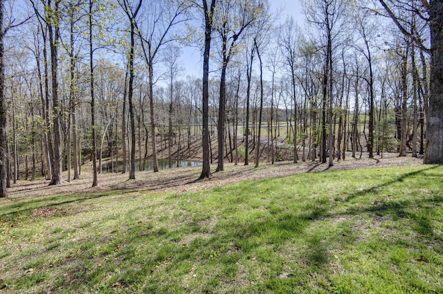 view of yard featuring a wooded view