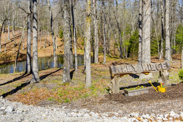 surrounding community featuring a forest view and a water view