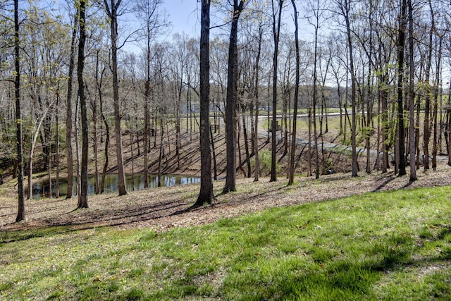 property view of water with a view of trees