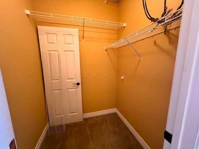 spacious closet with carpet