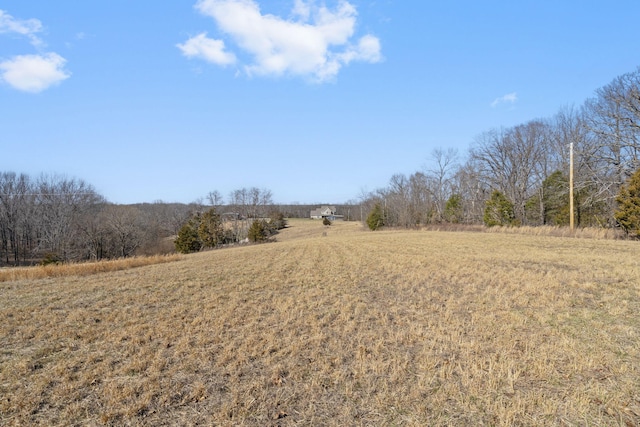 view of yard featuring a rural view