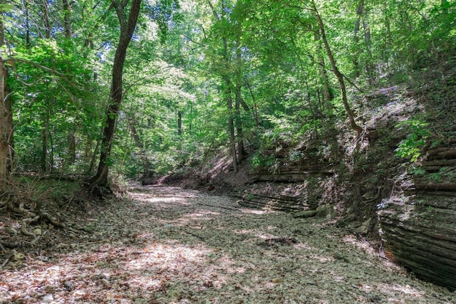 view of nature featuring a wooded view