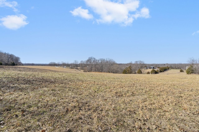 view of landscape featuring a rural view