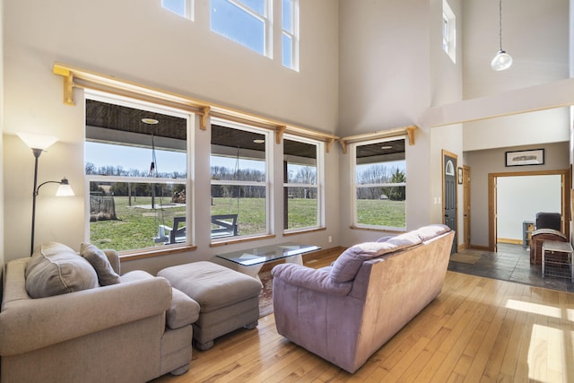 living room with a healthy amount of sunlight, light wood-type flooring, and baseboards