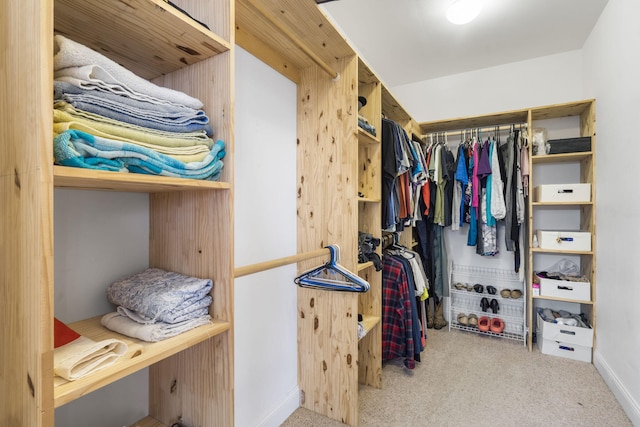 walk in closet with carpet flooring