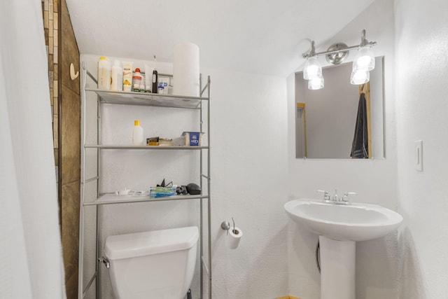 bathroom featuring toilet and a sink